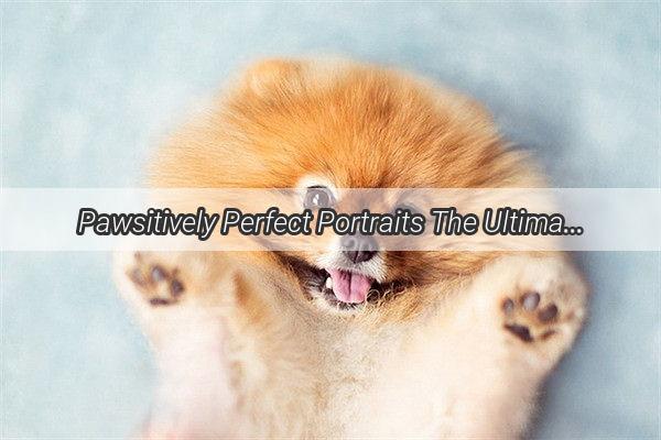 Pawsitively Perfect Portraits The Ultimate Guide to Mastering Advanced Dog Portrait Art